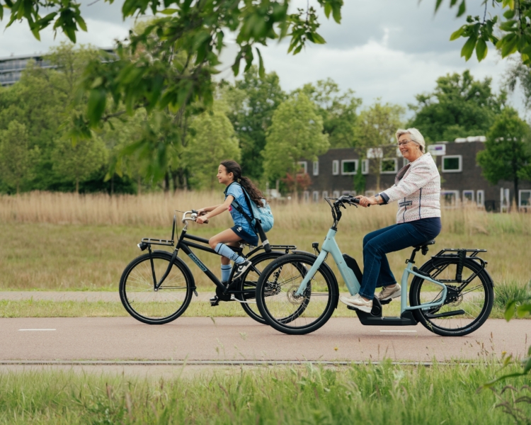 Elektrische fiets Lage instap Suelo 2026 model Extra lage instap fiets Suelo Lage Instap E-bike 2026 – Comfort zonder compromissen | H&H Dutch Bikes - Afbeelding 3